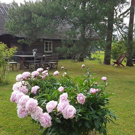Maenni Summerhouse Kassari Ngoại thất bức ảnh